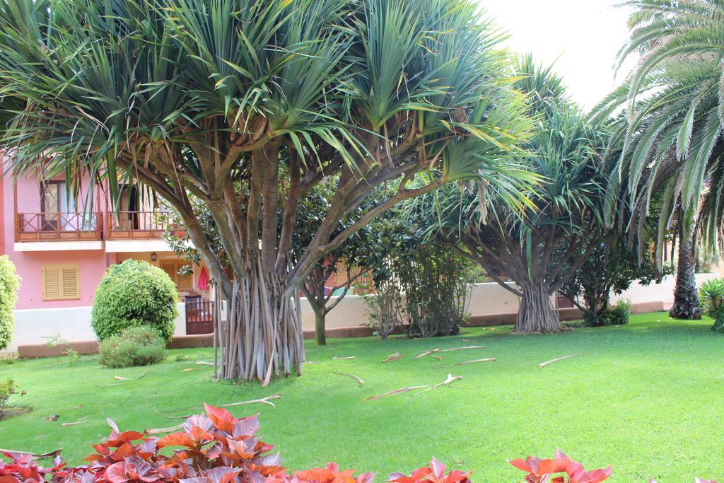 Vivienda Vacacional Los Balconcitos Playa Cancajos.- BreNa Baja  Kültér fotó